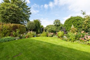 Rear garden- click for photo gallery